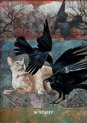 Urban Crow Oracle: A 54-Card Deck and Guidebook - MJ Cullinane