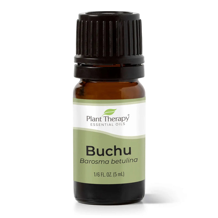 Ätherische Buchu-Ölmischung 5 ml – Pflanzentherapie