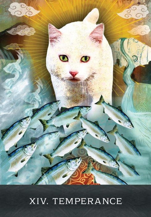 Grimalkin's Curious Cats Tarot : An 80-Card Deck and Guidebook - MJ Cullinane