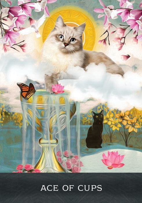 Grimalkin's Curious Cats Tarot : An 80-Card Deck and Guidebook - MJ Cullinane