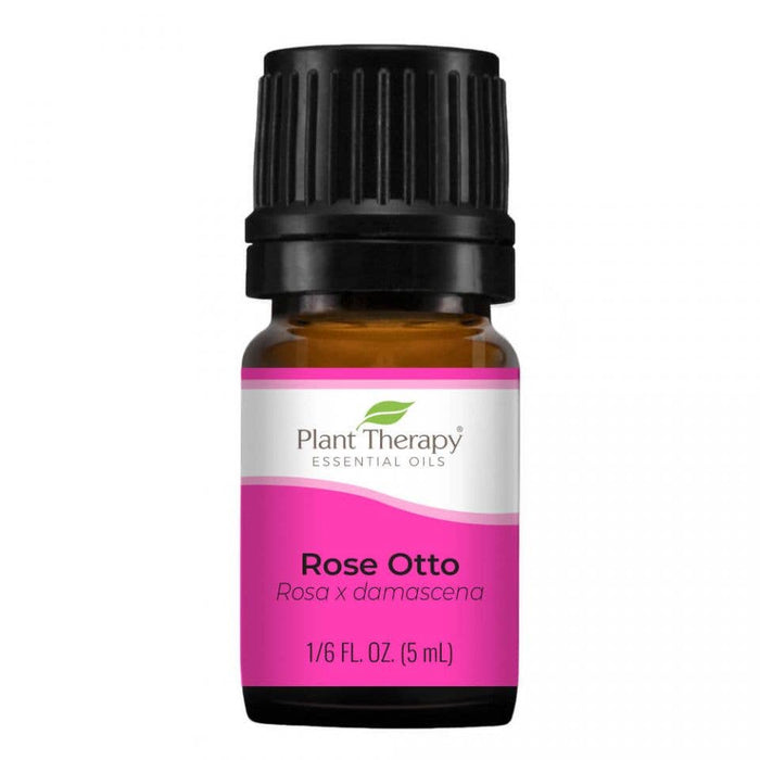 Rose Otto essential oil 5 ml - Plant Therapy