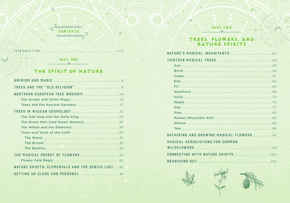 Wicca Nature Magic: A Beginner's Guide to Working with Nature Spellcraft - Lisa Chamberlain