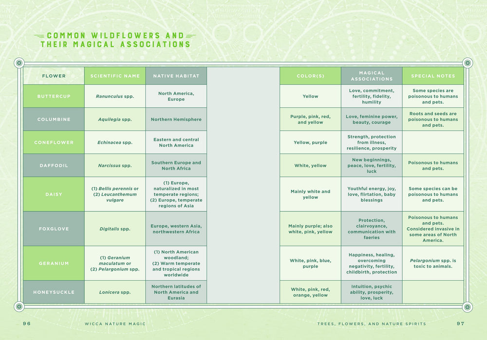 Wicca Nature Magic: A Beginner's Guide to Working with Nature Spellcraft - Lisa Chamberlain