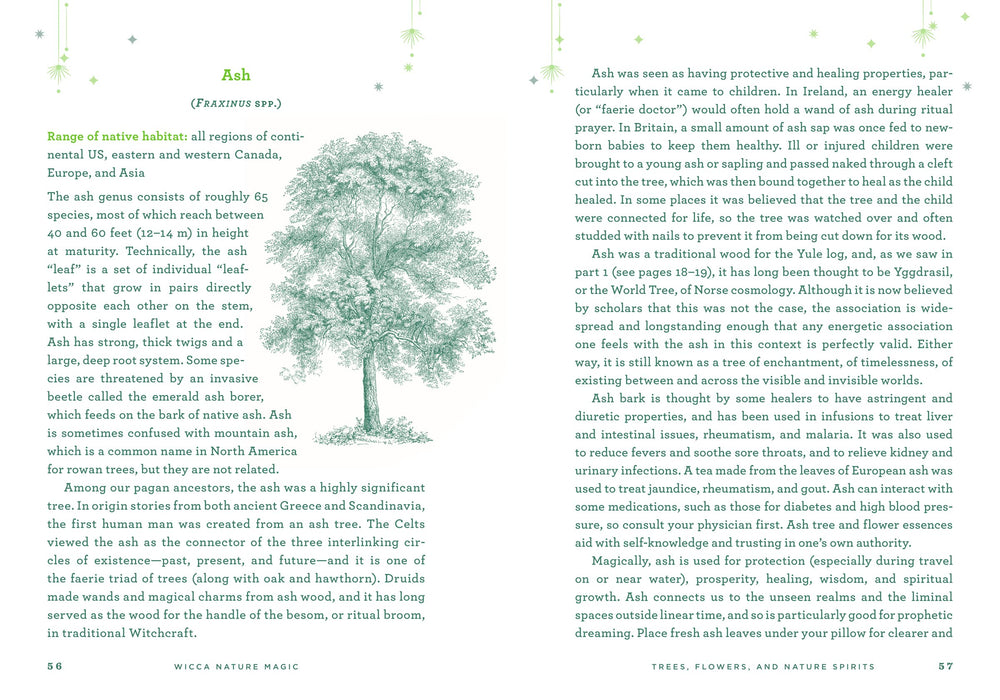 Wicca Nature Magic: A Beginner's Guide to Working with Nature Spellcraft - Lisa Chamberlain