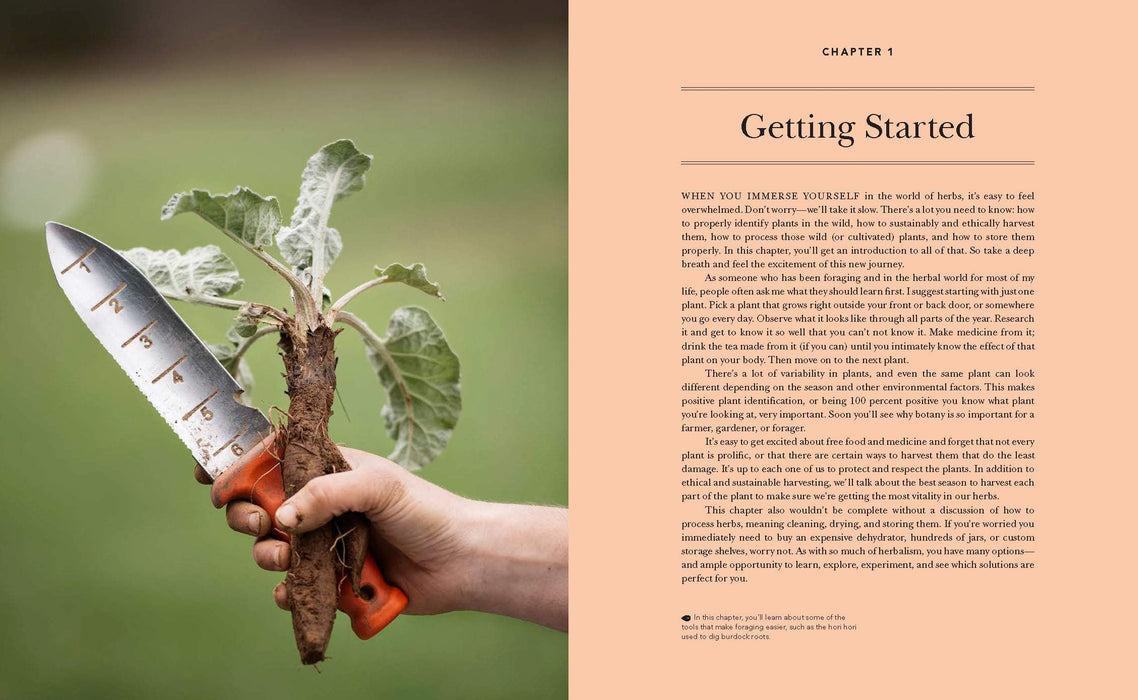 The Herbal Handbook for Homesteaders - Abby Artemisia