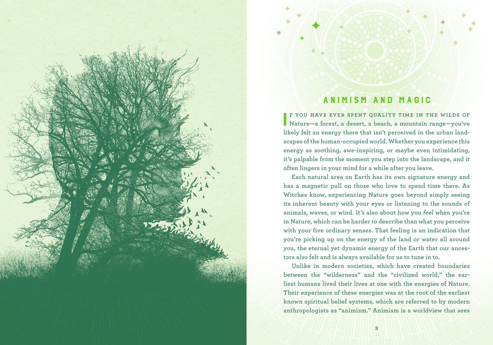 Wicca Nature Magic: A Beginner's Guide to Working with Nature Spellcraft - Lisa Chamberlain
