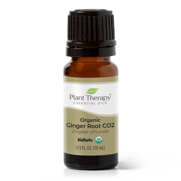 Ätherisches Bio-Ingwerwurzel-CO2-Öl 10 ml – Pflanzentherapie