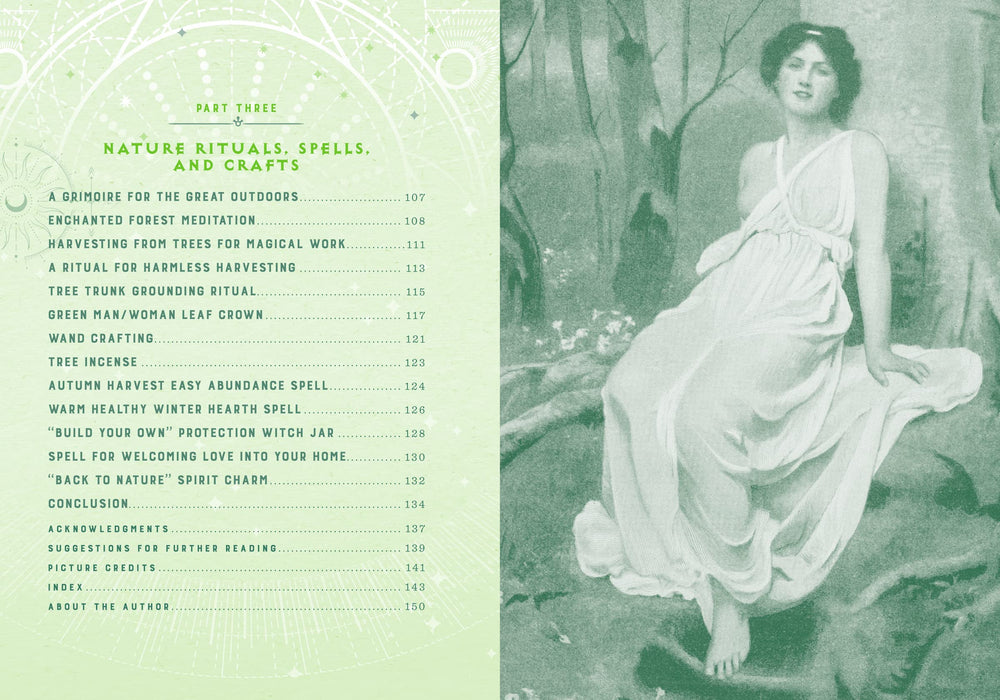Wicca Nature Magic: A Beginner's Guide to Working with Nature Spellcraft - Lisa Chamberlain