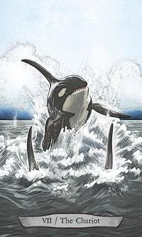 Animal Totem Tarot - Leeza Robertson - Tarotpuoti