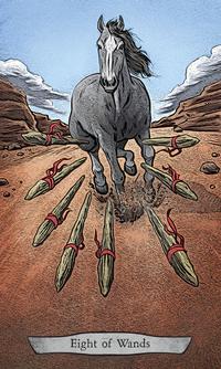 Animal Totem Tarot - Leeza Robertson - Tarotpuoti
