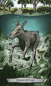 Animal Totem Tarot - Leeza Robertson - Tarotpuoti