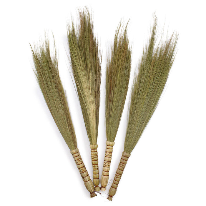 Pampas Broom - Natural isompi 1kpl