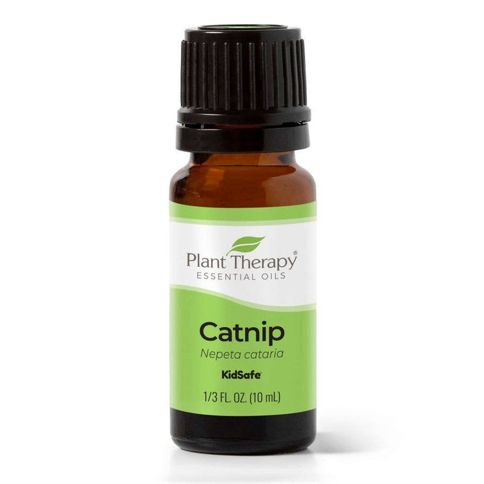 Catnip kissanminttu eteerinen öljy 10ml - Plant Therapy