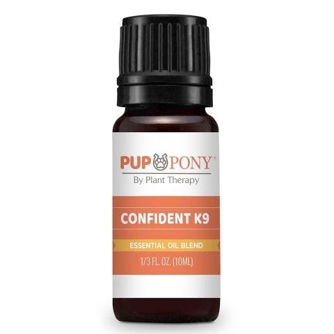 Confident K-9 eteerinen öljy 10ml - Plant Therapy - Tarotpuoti