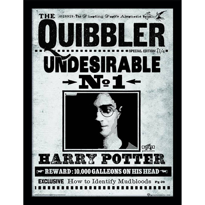 Harry Potter - The Quibbler board 30 x 40cm