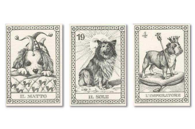 Dogs of the World - Cani del mondo - Il Meneghello Edizione - Tarotpuoti