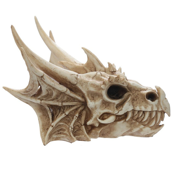 Dragon Skull Decoration - Tarotpuoti