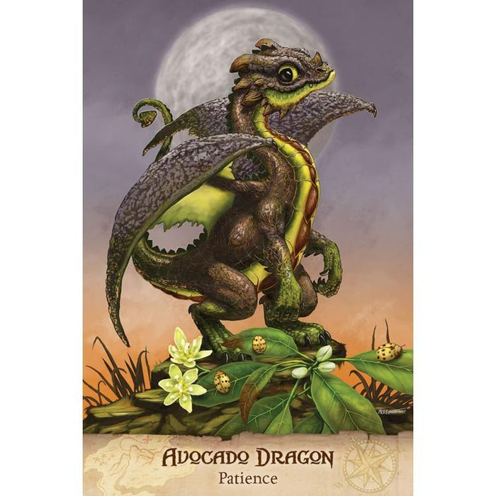 Field Guide To Garden Dragons - Tarotpuoti