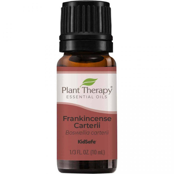 Frankincense Carterii eteerinen öljy 10ml - Plant Therapy - Tarotpuoti