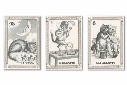 Funny Cats - gatti buffi - Il Meneghello Edizione - Tarotpuoti