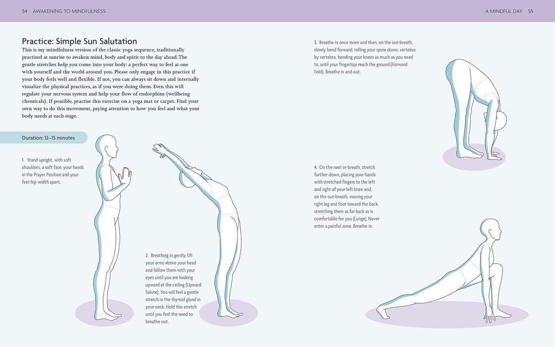 Godsfield Companion: Mindfulness: The guide to principles, practices and more Paperback – Patrizia Collard - Tarotpuoti