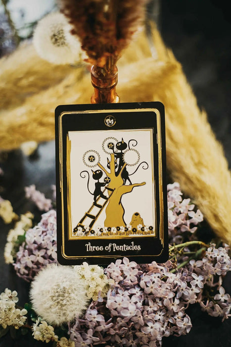 Golden Black Cat Tarot - High quality slip lid box with gold foil - Helena de Almeida - Tarotpuoti