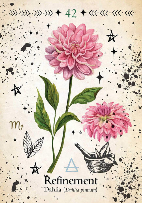 Green Witch Oracle Cards: Discover real secrets of natural Magick – Cheralyn Darcey - Tarotpuoti