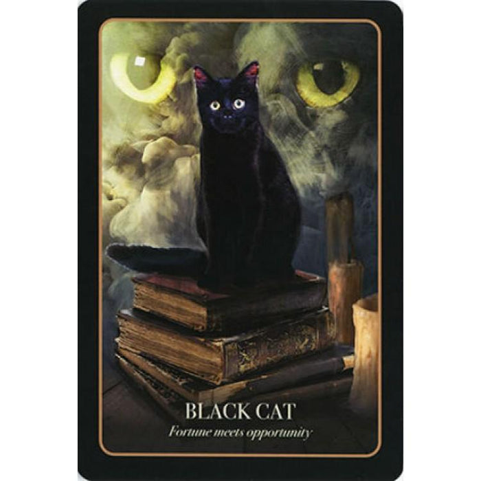 Halloween Oracle deck - Tarotpuoti