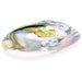Helmisimpukan kuori "Mother of pearl" ja helmi 15-16cm - Tarotpuoti