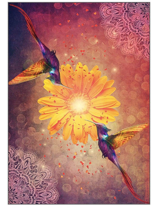 Hummingbird wisdom oracle cards - Tarotpuoti