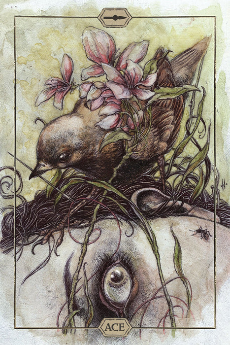 Hush Tarot - Jeremy Hush - Tarotpuoti