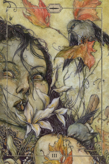 Hush Tarot - Jeremy Hush - Tarotpuoti