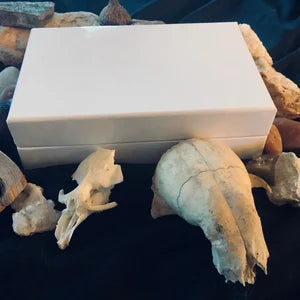 Spirits & Shadows Oracle Deck - 52 Card Intuitive Oracle Deck Featuring Original Ar - J Edward Neill