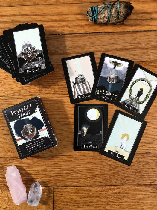 Pussycat Tarot: ein 78-Karten-Tarot-Deck mit passendem Spiel auf der Rückseite! - Cary Gray (Indie-Import)