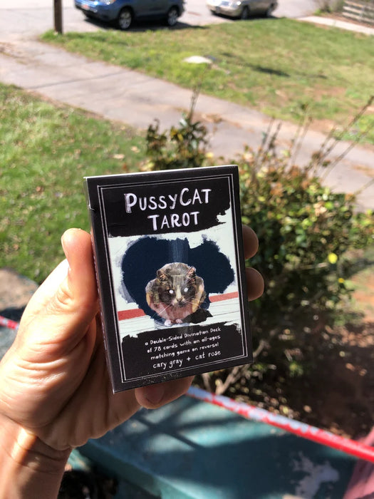 Pussycat Tarot: ein 78-Karten-Tarot-Deck mit passendem Spiel auf der Rückseite! - Cary Gray (Indie-Import)