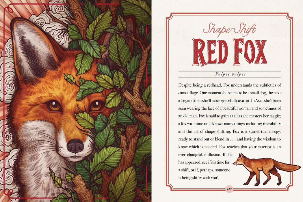 Illustrated Bestiary: Guidance and Rituals from 36 Inspiring Animals - Maia Toll - Tarotpuoti