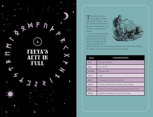 In Focus Runes: Your Personal Guide - Jan Bukowski - Tarotpuoti