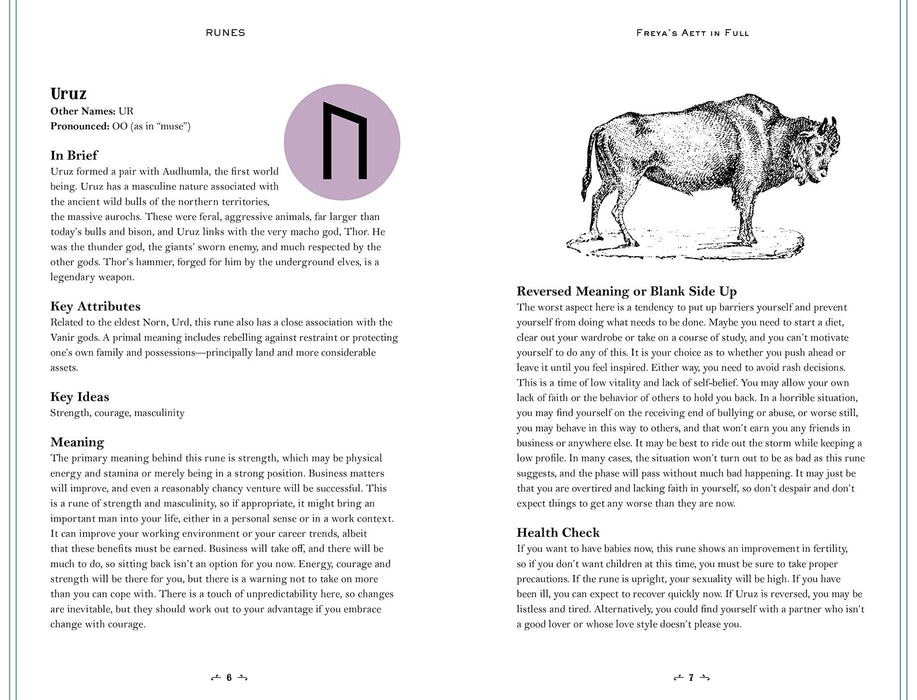 In Focus Runes: Your Personal Guide - Jan Bukowski - Tarotpuoti