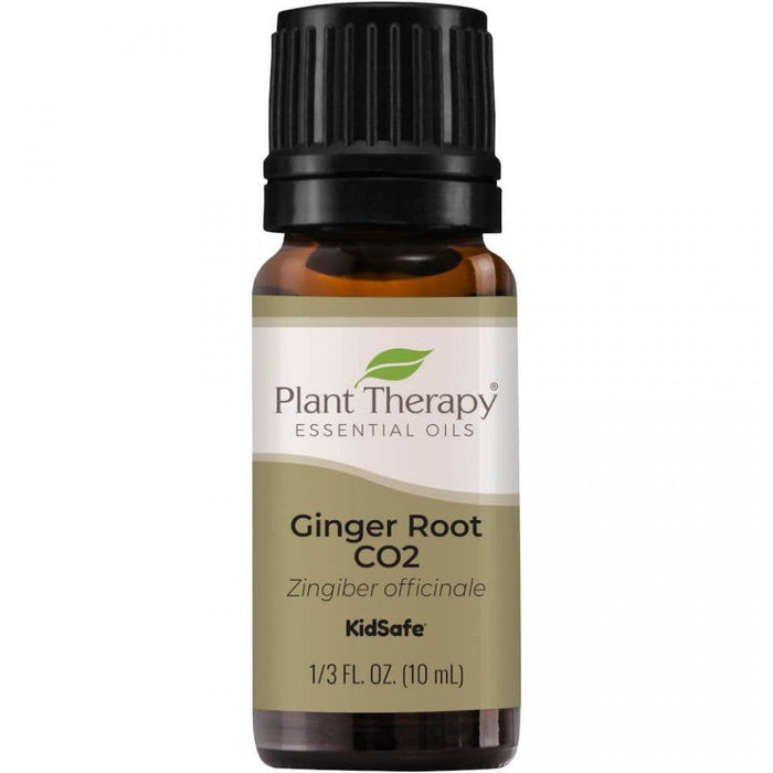 Inkivääri Ginger Root CO2 Extract 10ml - Plant TherapyL - Tarotpuoti