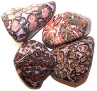 Leopard skin jasper rumpuhiottu 3-4cm - Tarotpuoti