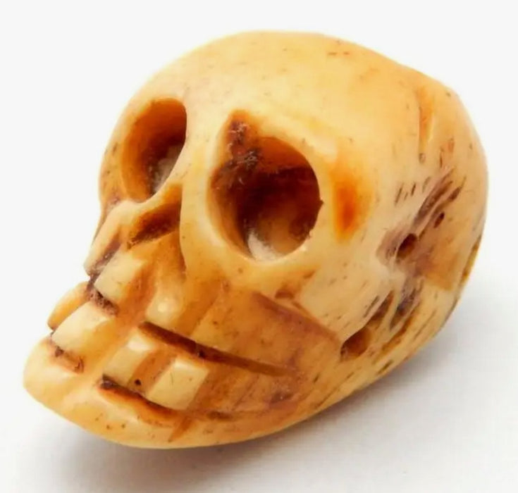 Luusta kaiverrettu pääkallohelmi - Carved Bone Shaped Top Drilled Bead - Tarotpuoti