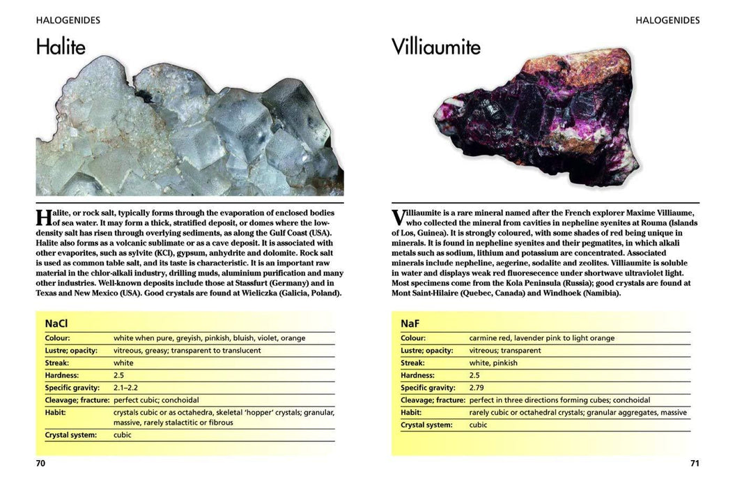 Minerals and Gemstones: 300 of the Earth's Natural Treasures - David C Cook - Tarotpuoti