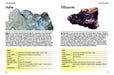 Minerals and Gemstones: 300 of the Earth's Natural Treasures - David C Cook - Tarotpuoti