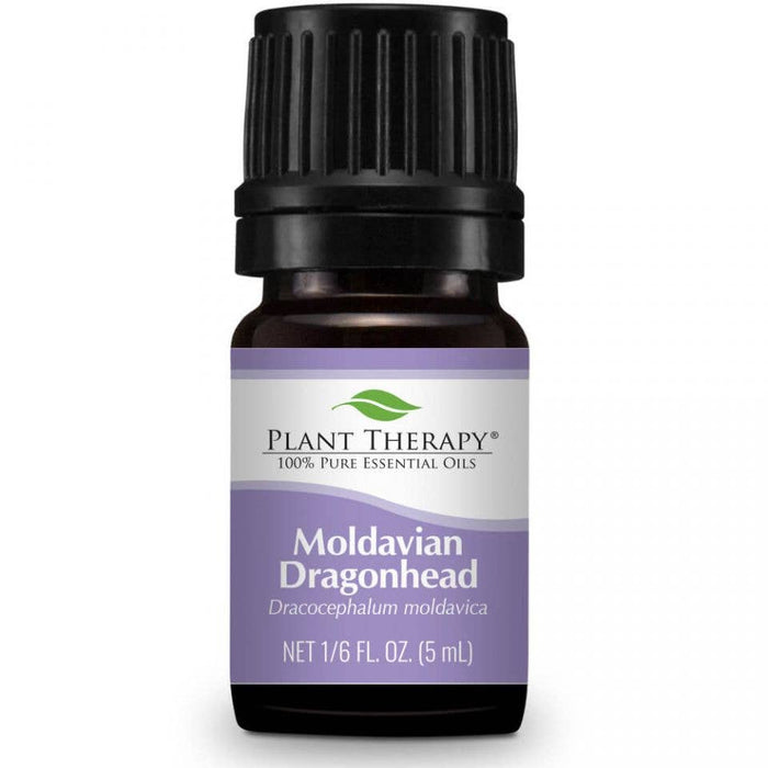 Moldavian Dragonhead eteerinen öljy 5ml - Plant Therapy - Tarotpuoti