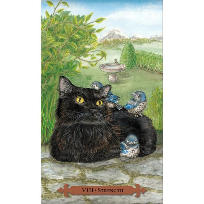 Mystical Cats Tarot Set - Lunaeae Weatherstone - Tarotpuoti