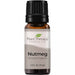 Nutmeg Essential Oil 10ml - Plant Therapy - Tarotpuoti