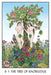 Oracle of the Trees – Francesca Romana Valente - Tarotpuoti