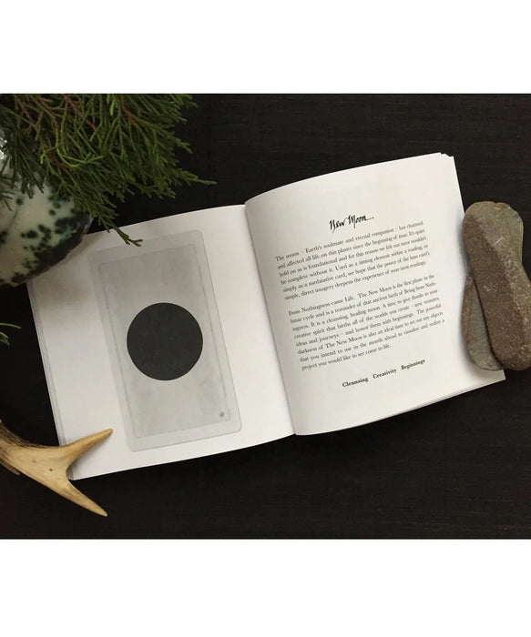 Pagan Otherworlds Tarot & guidebook 6th edition - Tarotpuoti