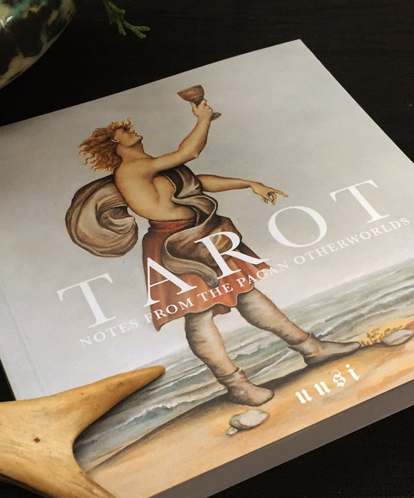 Pagan Otherworlds Tarot (Pakka ja kirja) 6th edition - Tarotpuoti