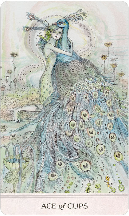 Phantasma Tarot Mass Market Paperback – Paulina Cassidy - Tarotpuoti